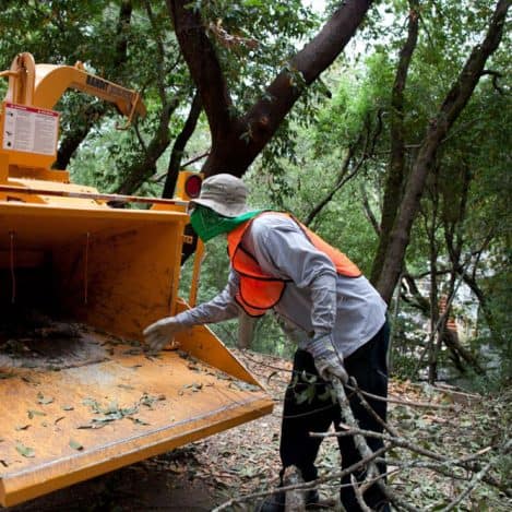 Fire Safe Sonoma Santa Rosa Ca